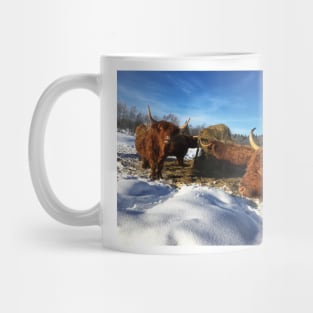 Scottish Highland Cattle Cows 1686 Mug